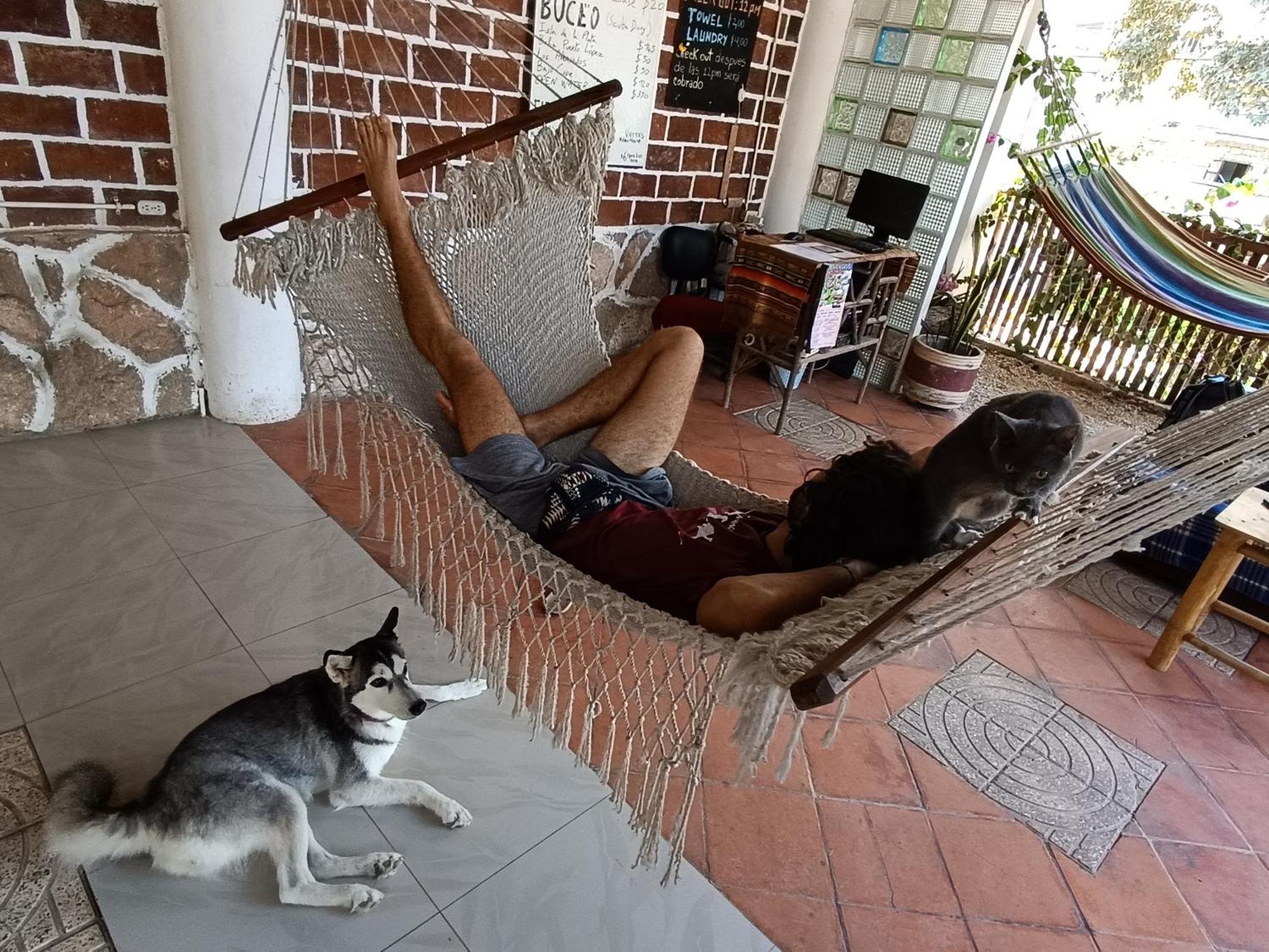 Munay Backpacker Hostel Montañita Esterno foto